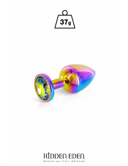 Plug bijou aluminium Rainbow taille XS