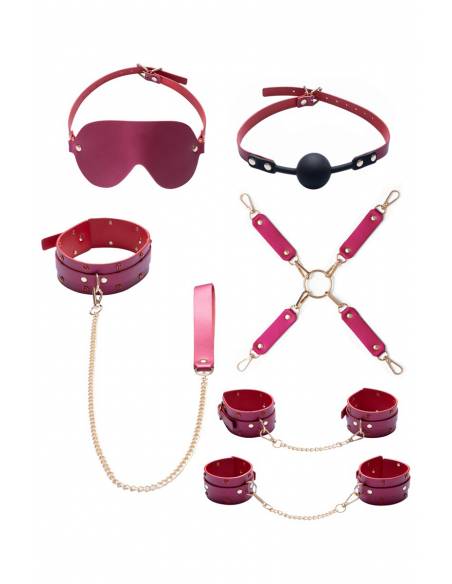Ensemble 7 pièces Fetish SM rose Bad Kitty